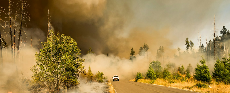 A wildfire near the road